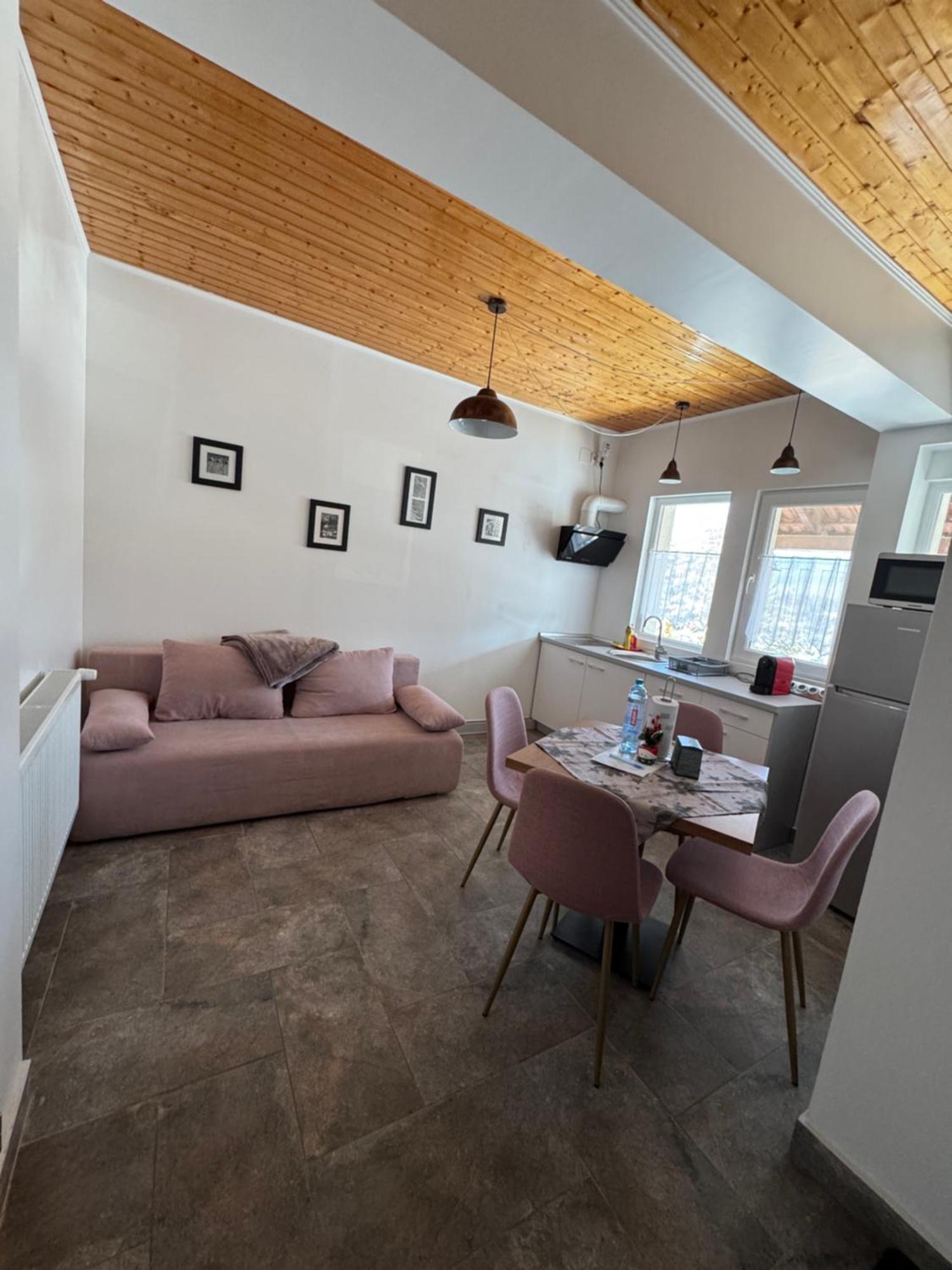 Red Family Apartments Paltinis Ngoại thất bức ảnh